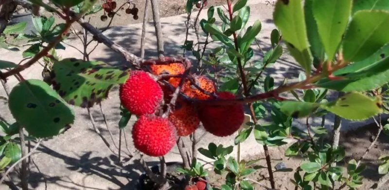 img_20160924_115844726