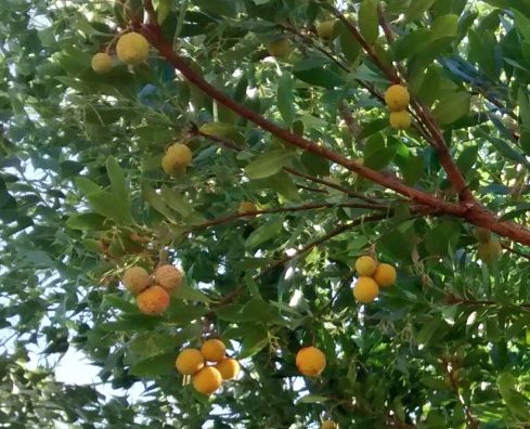 img_20160924_130534513