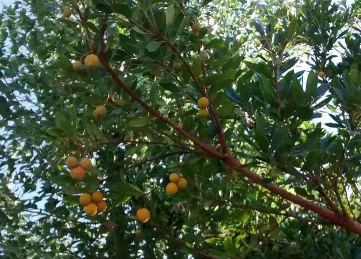 img_20160924_130538564