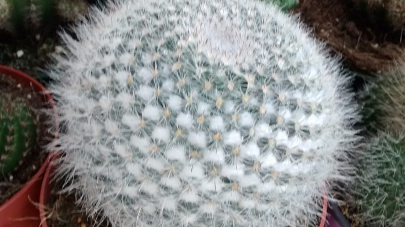 img_20160924_181330115