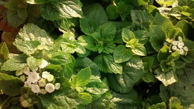 img_20160925_091420468