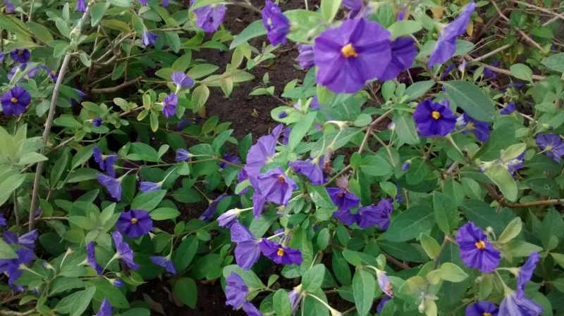 img_20160925_095357222