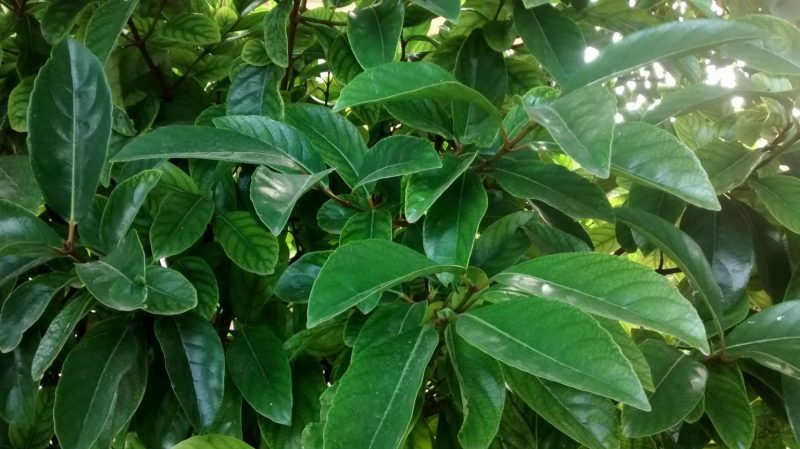 img_20160925_095650903