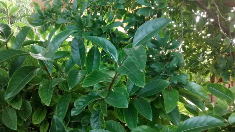 img_20160925_095657850