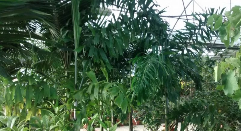 img_20160925_095830775