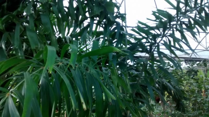 img_20160925_095846495