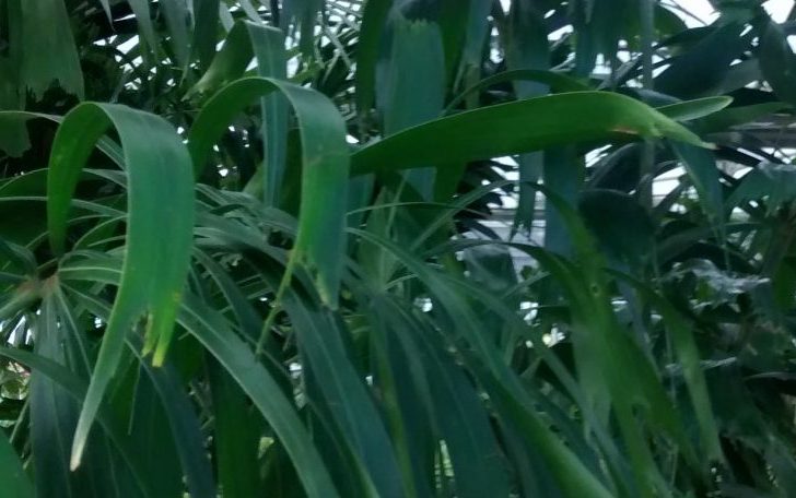 img_20160925_095854646