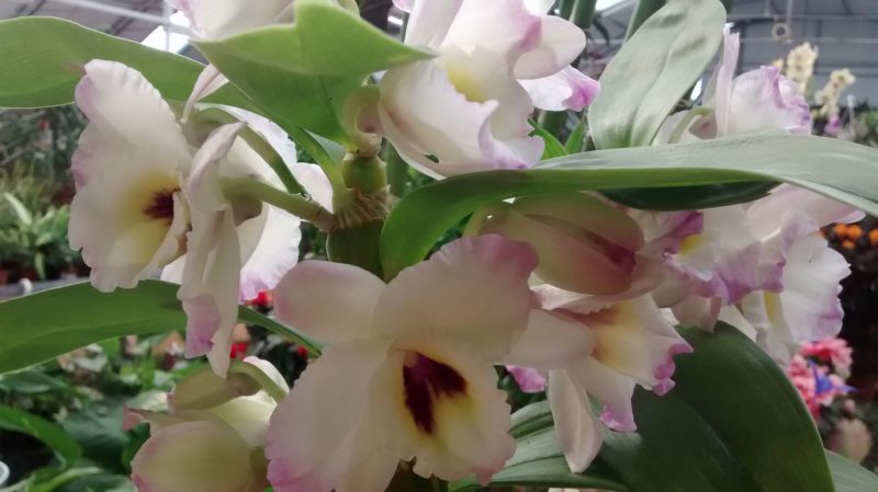 img_20160925_140611570