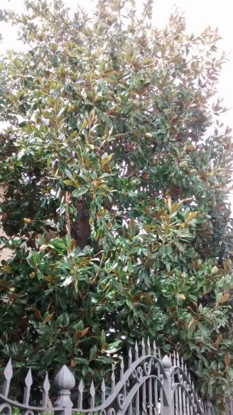img_20160927_133106837