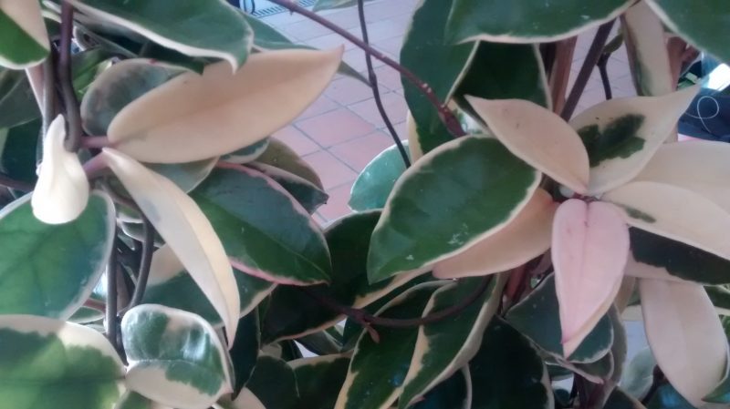 img_20160927_171320800
