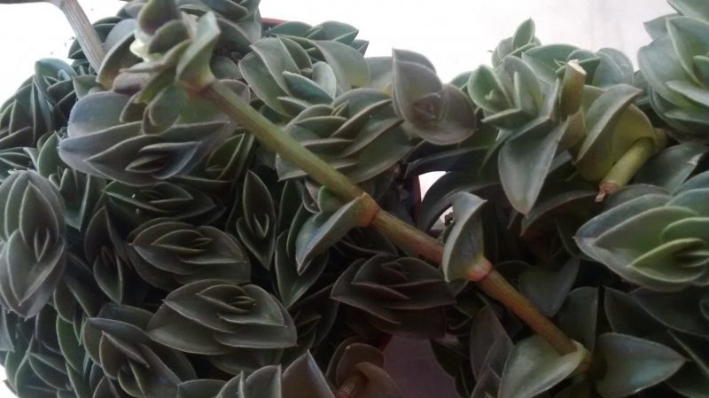 img_20160927_172729494