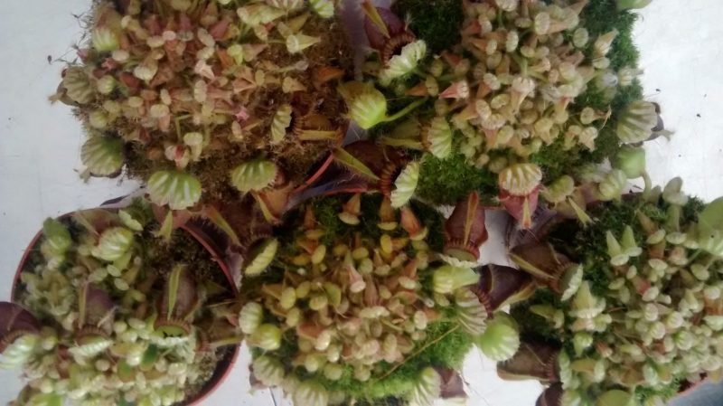 img_20160927_173304982