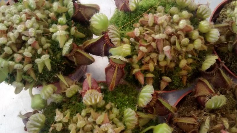 img_20160927_173310030