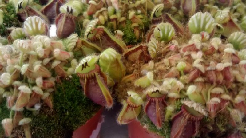 img_20160927_173316339