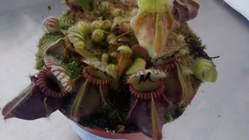 img_20160927_173828745