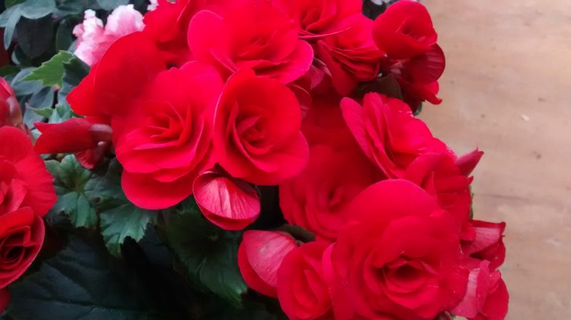 img_20160928_114531622