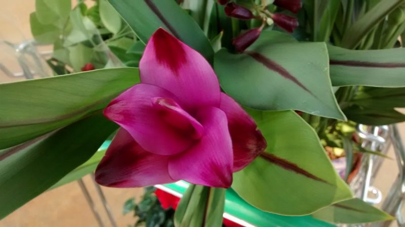 img_20160929_090911904