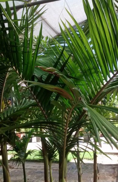 img_20160929_123241702