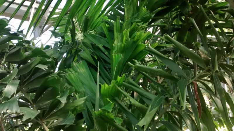 img_20160929_123254328