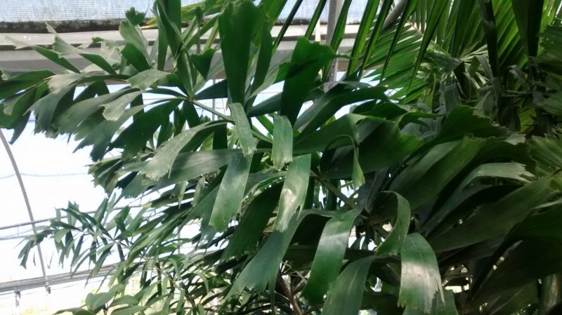 img_20160929_123301340