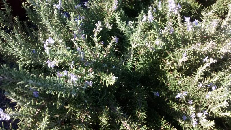 img_20160929_123522488