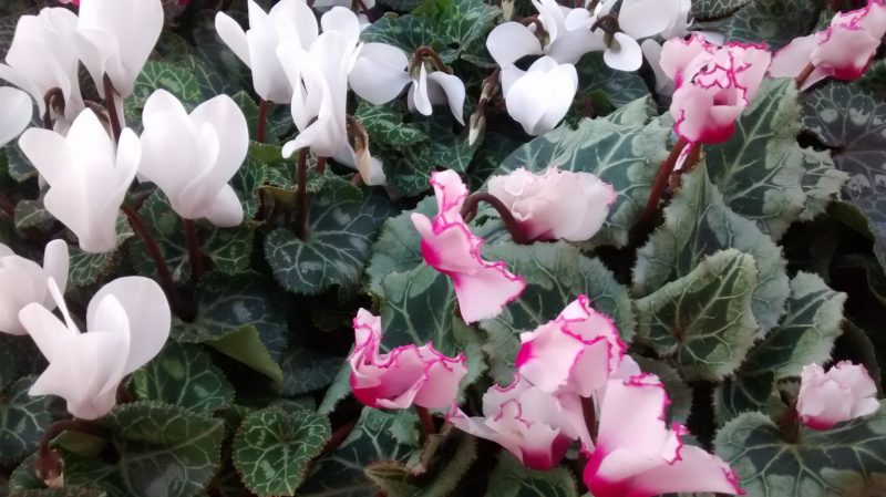 img_20160930_171410943