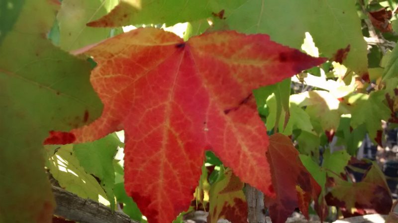 img_20161014_180853180