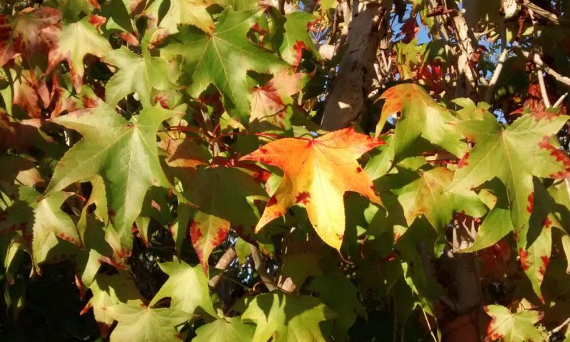 img_20161014_180925661