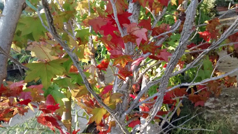img_20161014_181035076