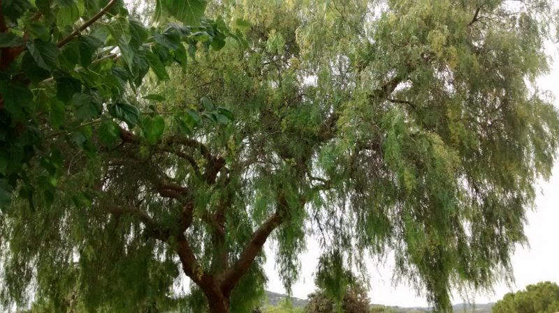 img_20161017_132219188