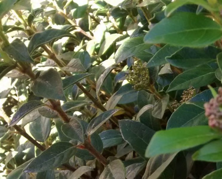 img_20161107_122137295