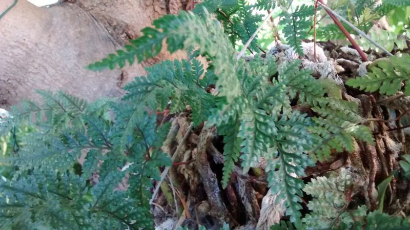 img_20161107_122403842