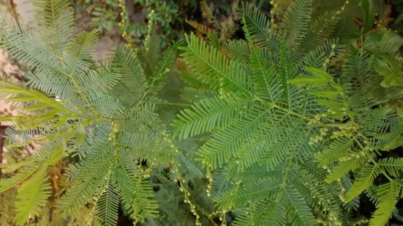 img_20161107_122820491