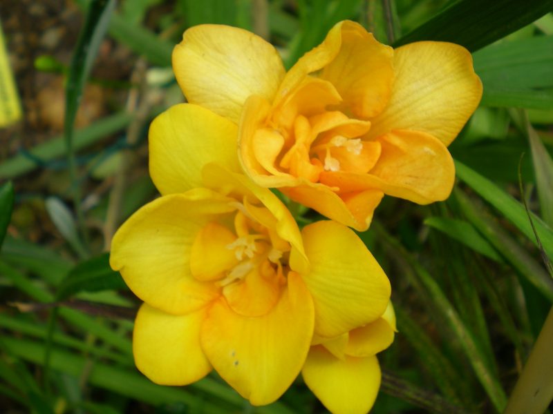 dscn0238