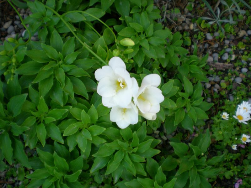dscn1804