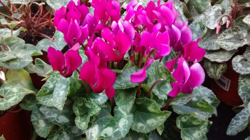 img_20160930_171421915