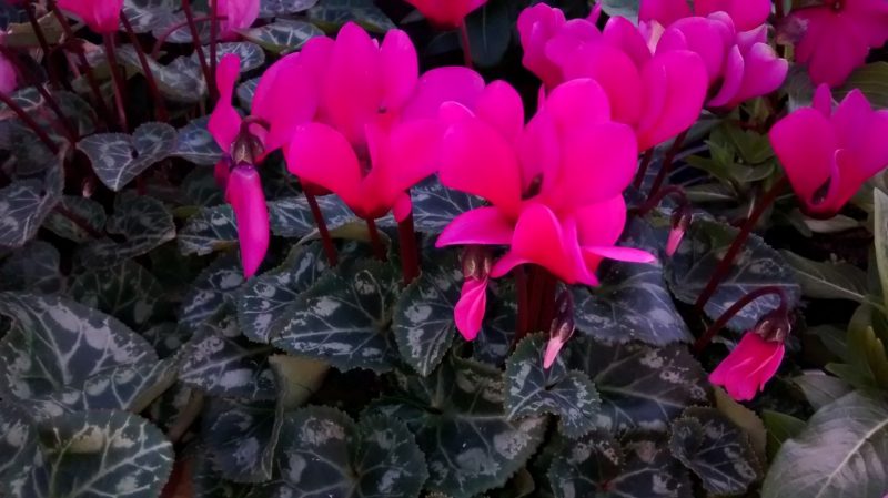 img_20160930_171532425