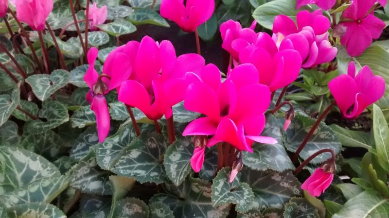 img_20160930_171537562