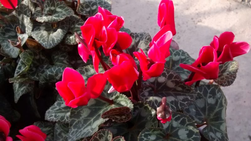 img_20160930_171553713