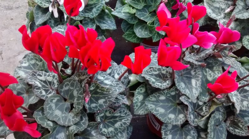 img_20160930_171603334