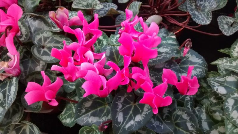 img_20160930_171625406