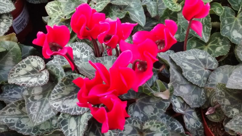 img_20160930_171633340