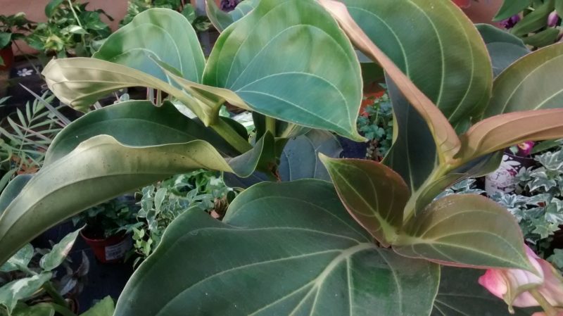 img_20160930_183058050