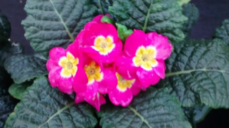 img_20160930_193615374