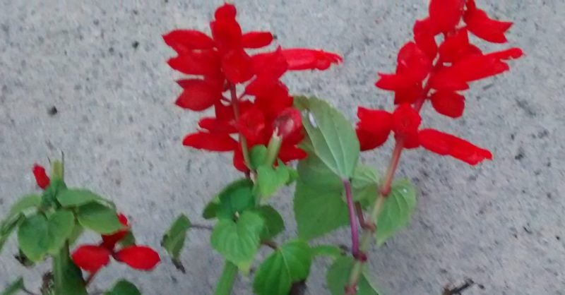 img_20160930_193941284