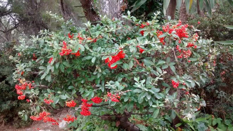 img_20161002_123249467