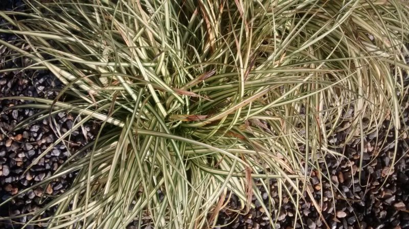 img_20161004_100517732