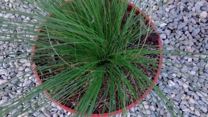 img_20161004_164343951