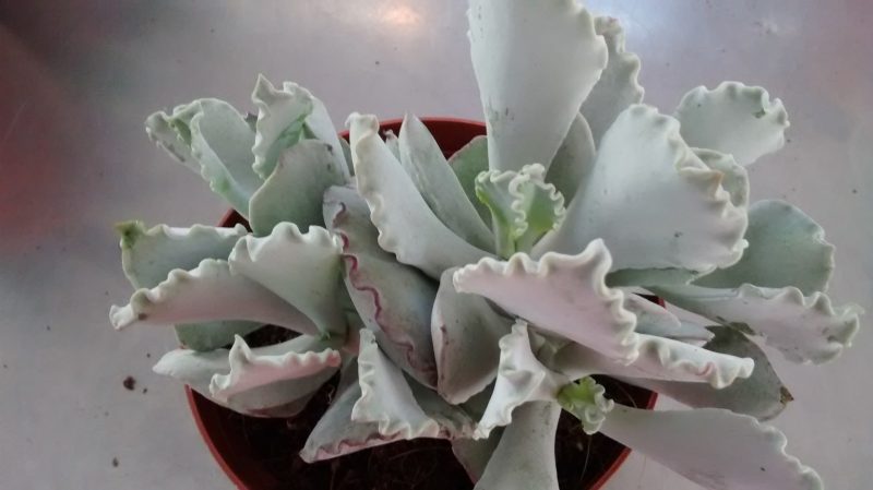 img_20161004_181235096