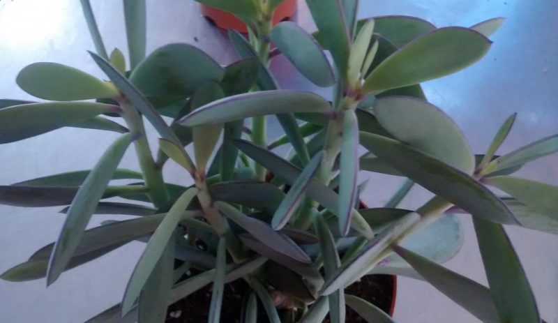 img_20161004_183322060